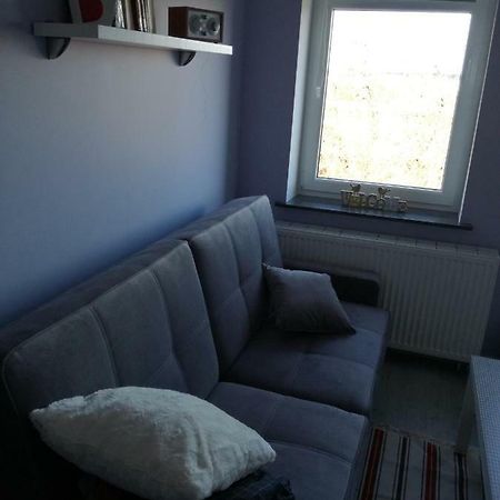 Business Apartments 28 بيدغوستيا المظهر الخارجي الصورة